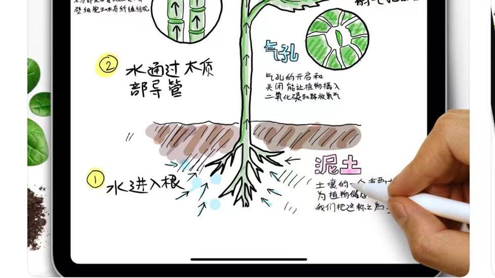 1bdf0f02fc661fec6561ae846a04182_副本 GoodNotes5 软件-第1张