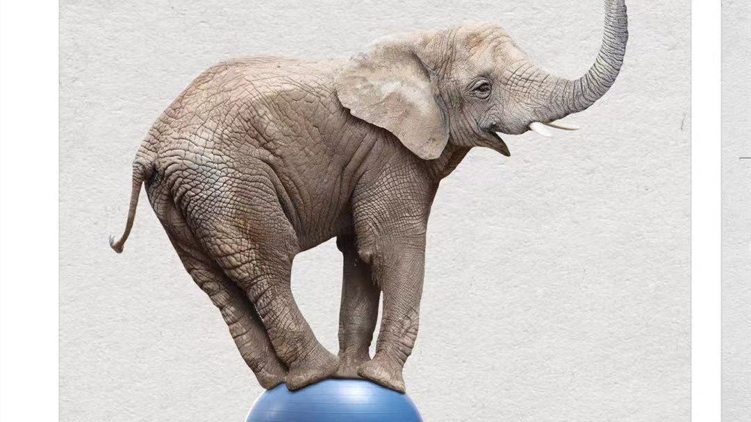 Ankimobile Flashcards 软件-第1张